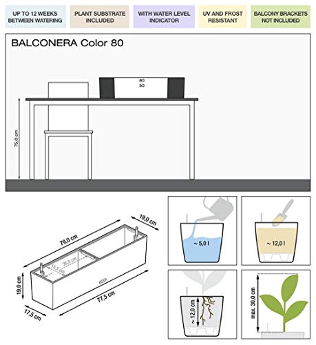 Lechuza 15680 Balconera Color 80 Garden Indoor and Outdoor Use, White Matte Self Watering Planter