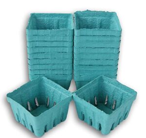 square berry baskets green biodegradable – pack of 20 (pints)