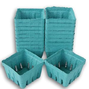 Square Berry Baskets Green Biodegradable - Pack of 20 (Pints)