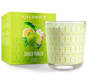 caldrea scented candle, made with essential oils and other thoughtfully chosen ingredients, 45 hour burn time, ginger pomelo scent, 8.1 oz