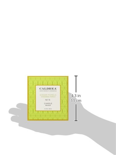 Caldrea Scented Candle, Made with Essential Oils and Other Thoughtfully Chosen Ingredients, 45 Hour Burn Time, Ginger Pomelo Scent, 8.1 oz