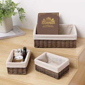 Hosroome Handmade Storage Basket Wicker Baskets for Organizing Shelf Baskets Woven Decorative Home Storage Bins Decorative Baskets Organizing Baskets Nesting Baskets(Set of 3,Brown)