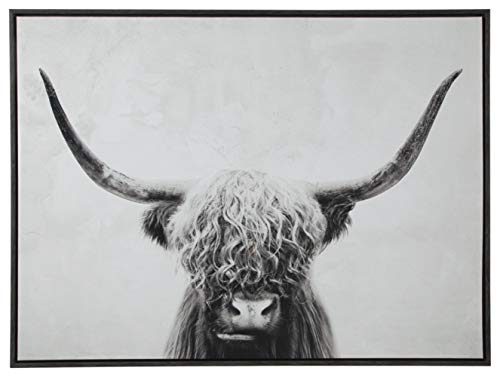 Signature Design by Ashley Pancho Modern Framed Cow Canvas Wall Art, 48 x 36, Black & White