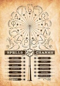 mightyprint harry potter – spells and charms – wand patterns – durable 17” x 24″ wall art – not made of paper – officially licensed collectible