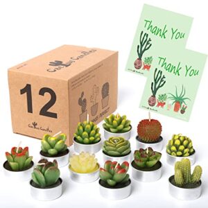 aixiang 12pcs cactus candles succulent candles, wedding party favors for guests, bridal shower candles favors, housewarming favor, baby succulents favors baby shower, christmas gifts
