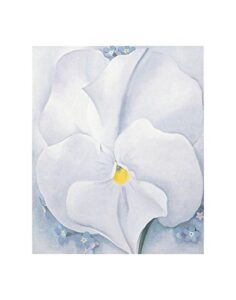 white pansy, c.1927 art print by georgia o’keeffe (overall size: 11×14) (image size: 8×9.75)