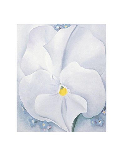 White Pansy, c.1927 Art Print by Georgia O'Keeffe (Overall Size: 11x14) (Image Size: 8x9.75)