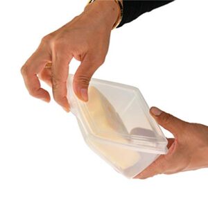 Home-X Oblique Plastic to-Go Container for Cheese Wedges, Cake, and Pie Slices