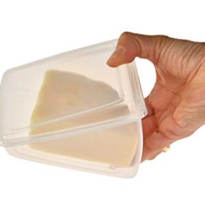 Home-X Oblique Plastic to-Go Container for Cheese Wedges, Cake, and Pie Slices