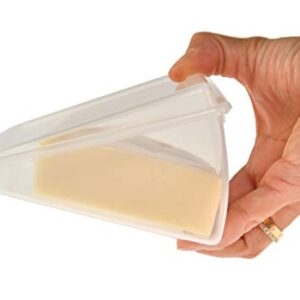 Home-X Oblique Plastic to-Go Container for Cheese Wedges, Cake, and Pie Slices