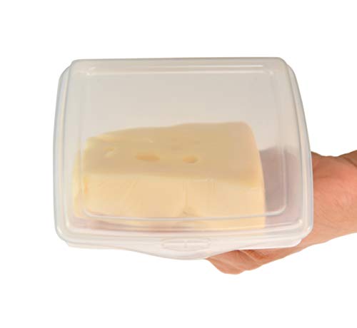 Home-X Oblique Plastic to-Go Container for Cheese Wedges, Cake, and Pie Slices