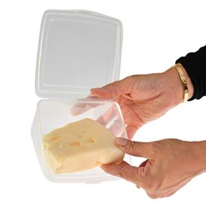 Home-X Oblique Plastic to-Go Container for Cheese Wedges, Cake, and Pie Slices