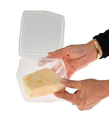 Home-X Oblique Plastic to-Go Container for Cheese Wedges, Cake, and Pie Slices