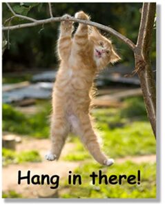 hang in there cat poster – printed on premium cardstock paper – sized 11 x 14 inch – perfect funny motivational poster for home or office – humorous decor, funny quote