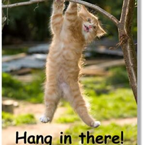 Hang in There Cat Poster - Printed on Premium Cardstock Paper - Sized 11 x 14 Inch - Perfect Funny Motivational Poster For Home or Office - Humorous Decor, Funny Quote