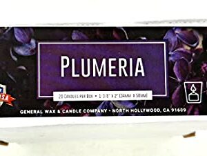 Purple Plumeria Scented Votive Candles - 15 Hour Long Burn Time - Textured Finish - Box of 20