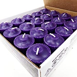 Purple Plumeria Scented Votive Candles - 15 Hour Long Burn Time - Textured Finish - Box of 20