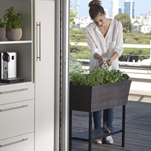 Keter Urban Bloomer 12.7 Gallon Raised Garden Bed with Self Watering Planter Box and Drainage Plug, Dark Grey