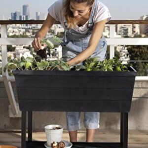 Keter Urban Bloomer 12.7 Gallon Raised Garden Bed with Self Watering Planter Box and Drainage Plug, Dark Grey