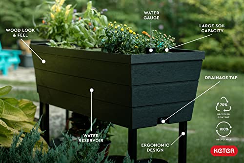 Keter Urban Bloomer 12.7 Gallon Raised Garden Bed with Self Watering Planter Box and Drainage Plug, Dark Grey