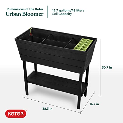 Keter Urban Bloomer 12.7 Gallon Raised Garden Bed with Self Watering Planter Box and Drainage Plug, Dark Grey