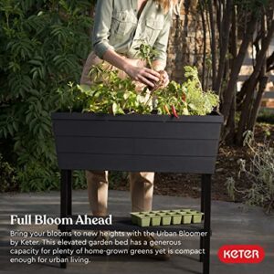 Keter Urban Bloomer 12.7 Gallon Raised Garden Bed with Self Watering Planter Box and Drainage Plug, Dark Grey