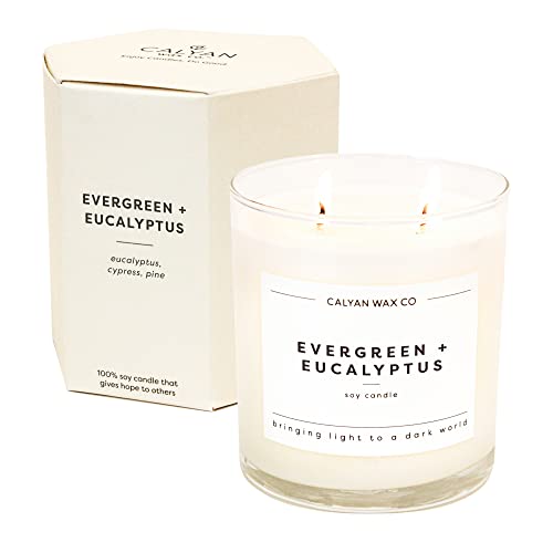 Evergreen & Eucalyptus Scented Candle, Soy Wax Candles for The Home Scented with Phthalate Free Oils, 3.5 x 3 inch, 8.8 oz, 37 Hour Burn Time Fall Candles & Home Decor in Glass Jar - Calyan Wax