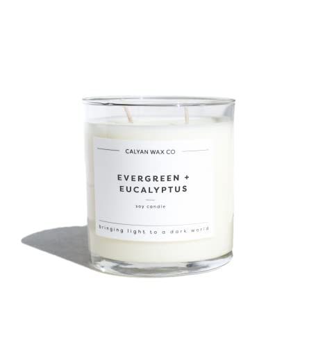 Evergreen & Eucalyptus Scented Candle, Soy Wax Candles for The Home Scented with Phthalate Free Oils, 3.5 x 3 inch, 8.8 oz, 37 Hour Burn Time Fall Candles & Home Decor in Glass Jar - Calyan Wax