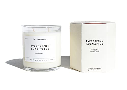 Evergreen & Eucalyptus Scented Candle, Soy Wax Candles for The Home Scented with Phthalate Free Oils, 3.5 x 3 inch, 8.8 oz, 37 Hour Burn Time Fall Candles & Home Decor in Glass Jar - Calyan Wax