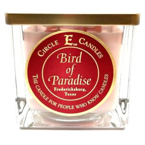 circle e candles, bird of paradise scent, medium size jar candle, 22oz, 2 wicks