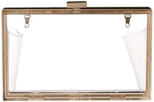 jessica mcclintock women’s lucinda lucite clutch w/pouch, rose gold