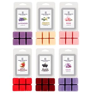 Scented Wax Melts Wax Cubes for Scented Wax Warmer - 100% Soy Wax Melts - 6 Fragrances X 6 Cubes - Lavender, Vanilla, Rose, Apple Cinnamon, Lilac and Black Cherry, Made in USA