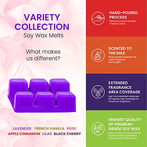 Scented Wax Melts Wax Cubes for Scented Wax Warmer - 100% Soy Wax Melts - 6 Fragrances X 6 Cubes - Lavender, Vanilla, Rose, Apple Cinnamon, Lilac and Black Cherry, Made in USA