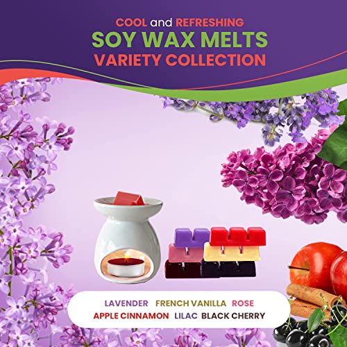 Scented Wax Melts Wax Cubes for Scented Wax Warmer - 100% Soy Wax Melts - 6 Fragrances X 6 Cubes - Lavender, Vanilla, Rose, Apple Cinnamon, Lilac and Black Cherry, Made in USA