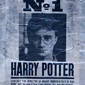 Trends International The Wizarding World: Harry Potter - Undesirable Wall Poster, 22.375" x 34", Unframed Version