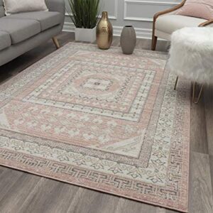 Rugs America Harper HY40A Carnation Transitional Vintage Area Rug, 5'x7'