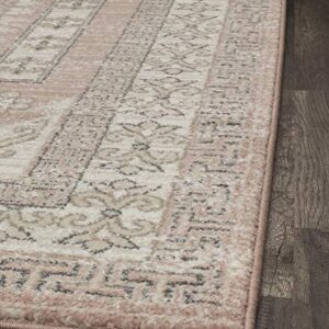 Rugs America Harper HY40A Carnation Transitional Vintage Area Rug, 5'x7'