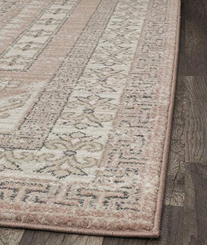 Rugs America Harper HY40A Carnation Transitional Vintage Area Rug, 5'x7'