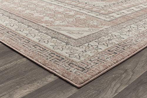 Rugs America Harper HY40A Carnation Transitional Vintage Area Rug, 5'x7'