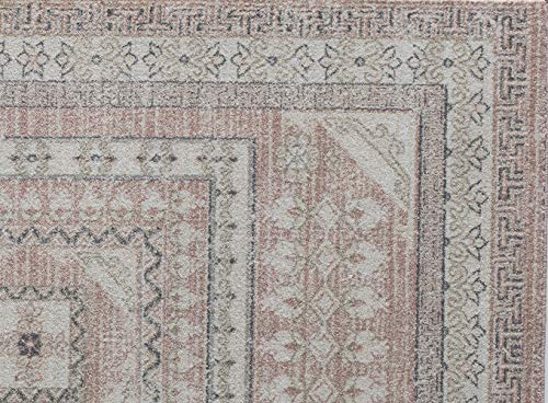 Rugs America Harper HY40A Carnation Transitional Vintage Area Rug, 5'x7'