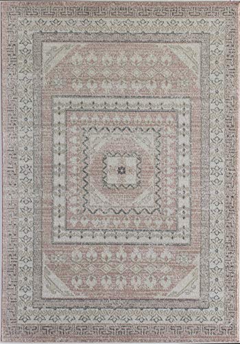 Rugs America Harper HY40A Carnation Transitional Vintage Area Rug, 5'x7'