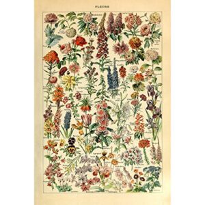 meishe art vintage poster print flower floral botanical collections garden flowers and plants identification reference chart diagram home wall decor