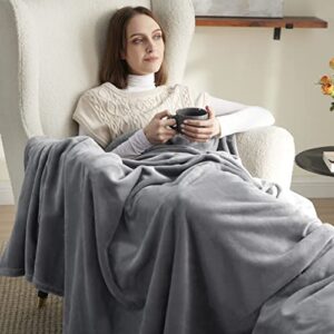 Bedsure Fleece Throw Blanket for Couch Grey - Lightweight Plush Fuzzy Cozy Soft Blankets and Throws for Sofa, 50x60 inches