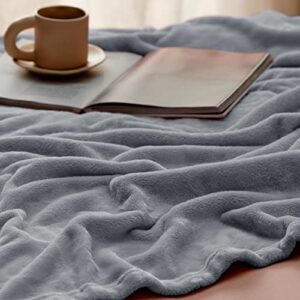 Bedsure Fleece Throw Blanket for Couch Grey - Lightweight Plush Fuzzy Cozy Soft Blankets and Throws for Sofa, 50x60 inches