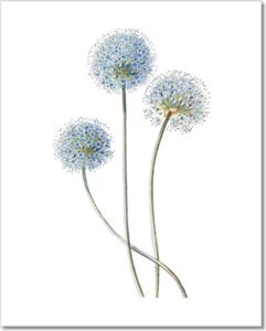 blue flower wall art – 11×14 – vintage floral wall decor – botanical prints – unframed