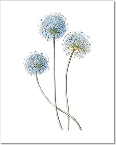 Blue Flower Wall Art - 11x14 - Vintage Floral Wall Decor - Botanical Prints - Unframed