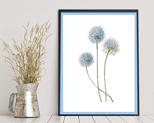 Blue Flower Wall Art - 11x14 - Vintage Floral Wall Decor - Botanical Prints - Unframed