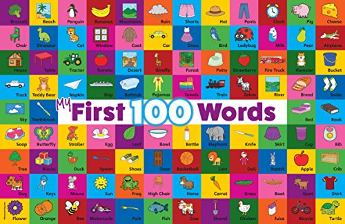 Palace Learning My 100 First Words LAMINATED Poster (18 x 24)