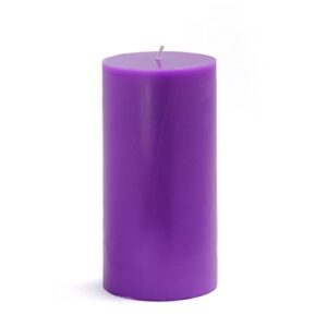 zest candle cpz-091_12 12-piece pillar candle, 3″ x 6″, purple