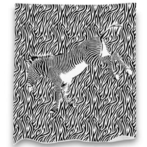 loong design fun zebra throw blanket super soft, fluffy, premium sherpa fleece blanket 50” x 60” fit for sofa chair bed office travelling camping gift